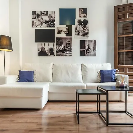 Spacious By Picasso Museum By Rems Málaga